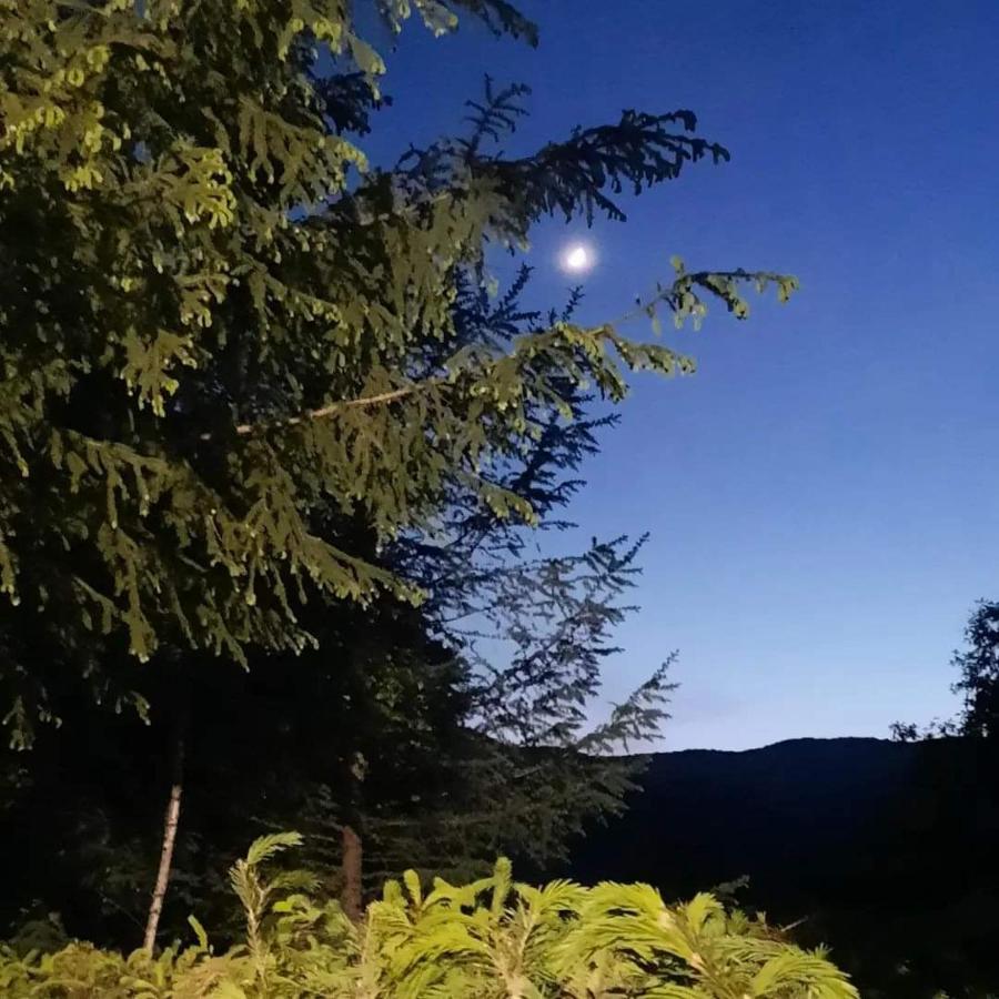 Kalmul Naturii, Iuresul Padurii Firiza-de-Jos Exteriér fotografie